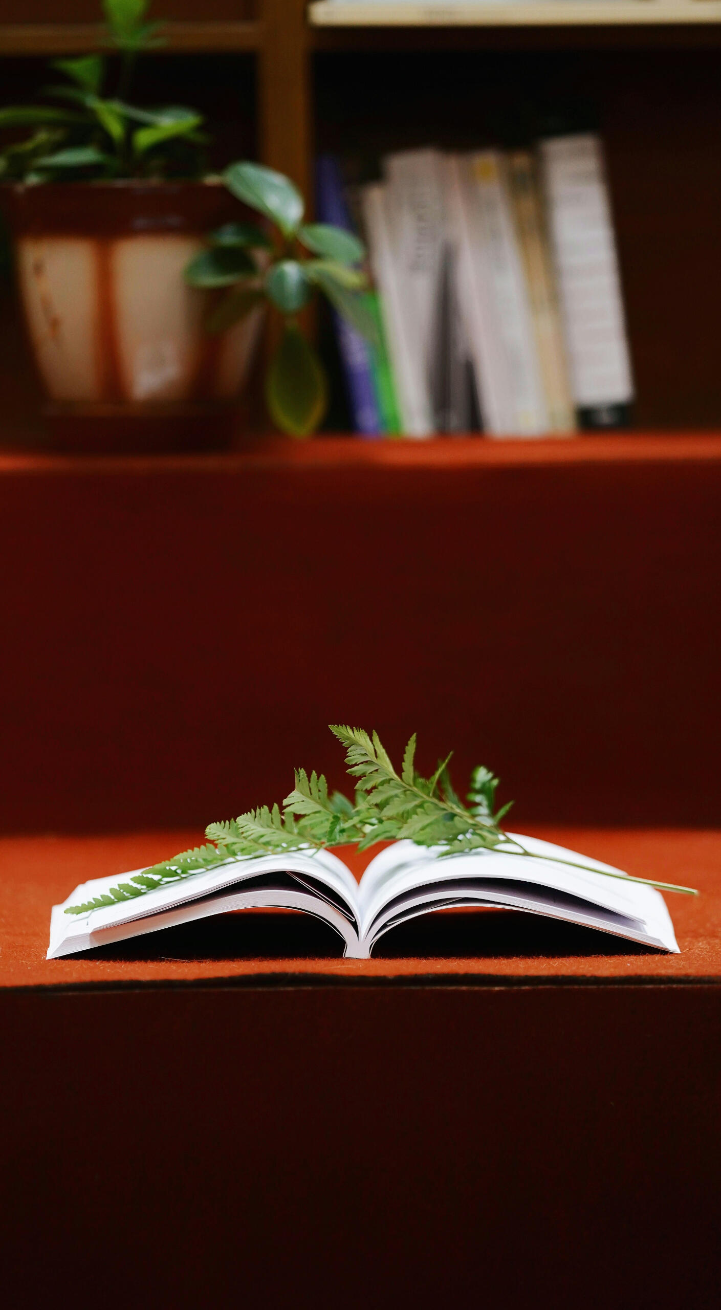 An open book in a library